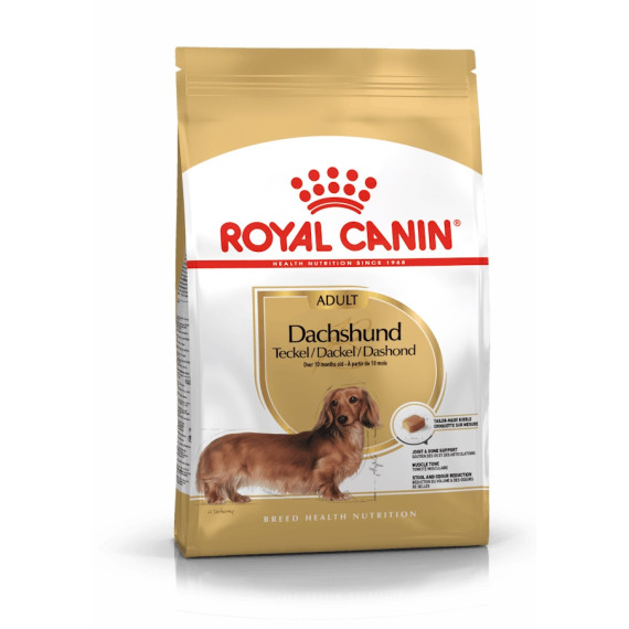 Royal canin dachshund adulto