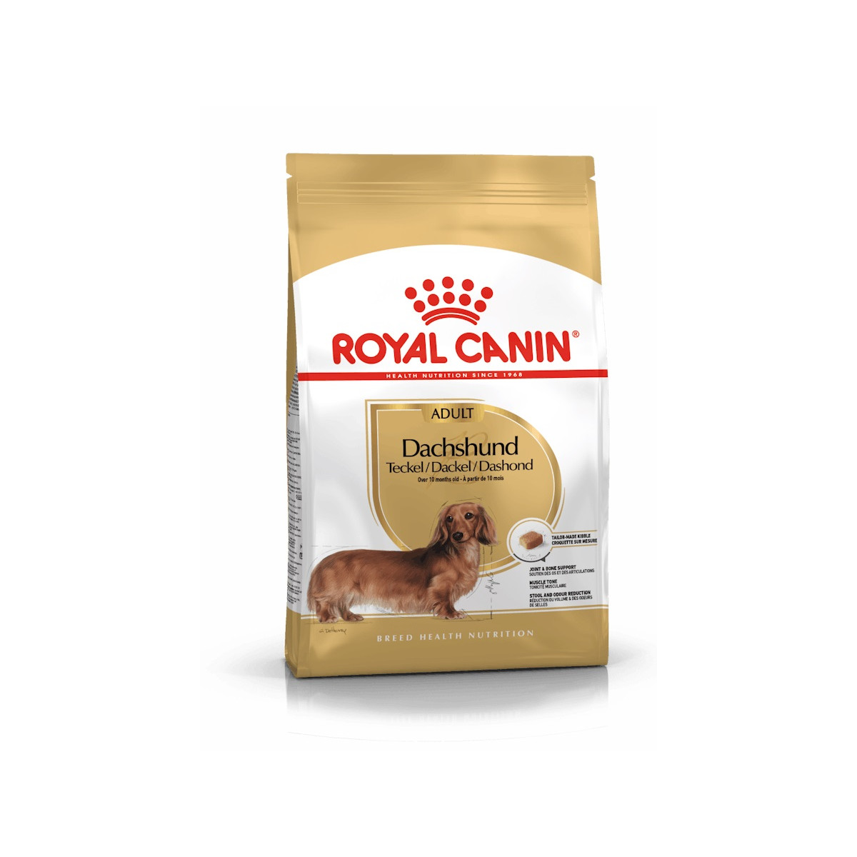 Royal canin dachshund adulto