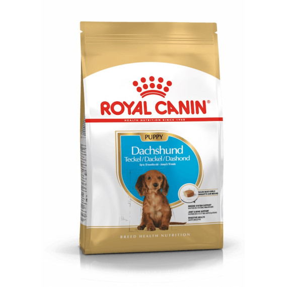 Royal canin dachshund cachorro