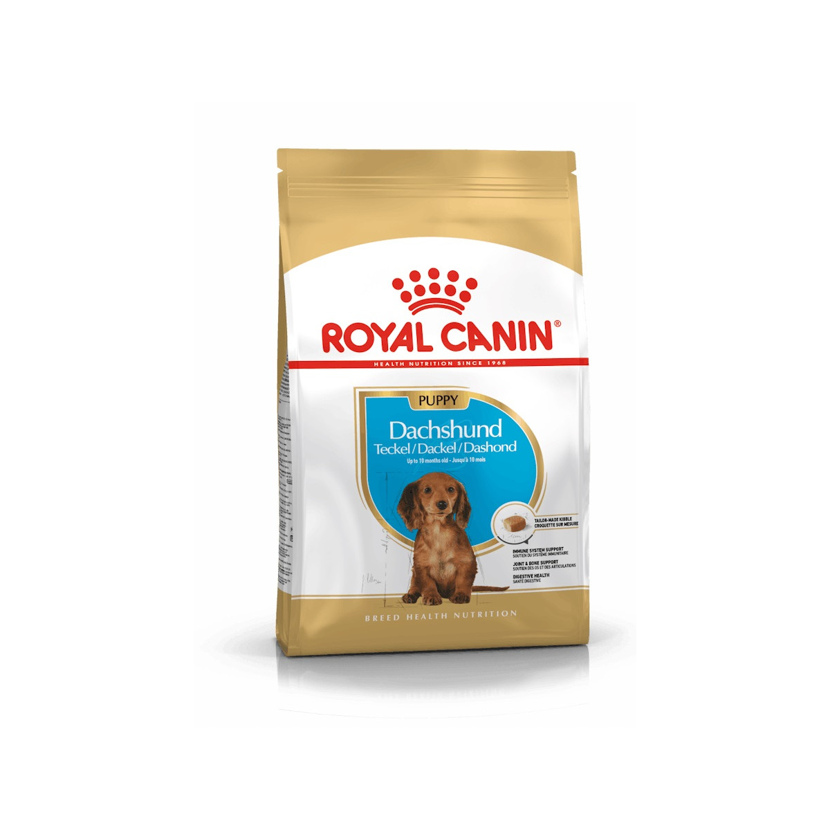 Royal canin dachshund cachorro